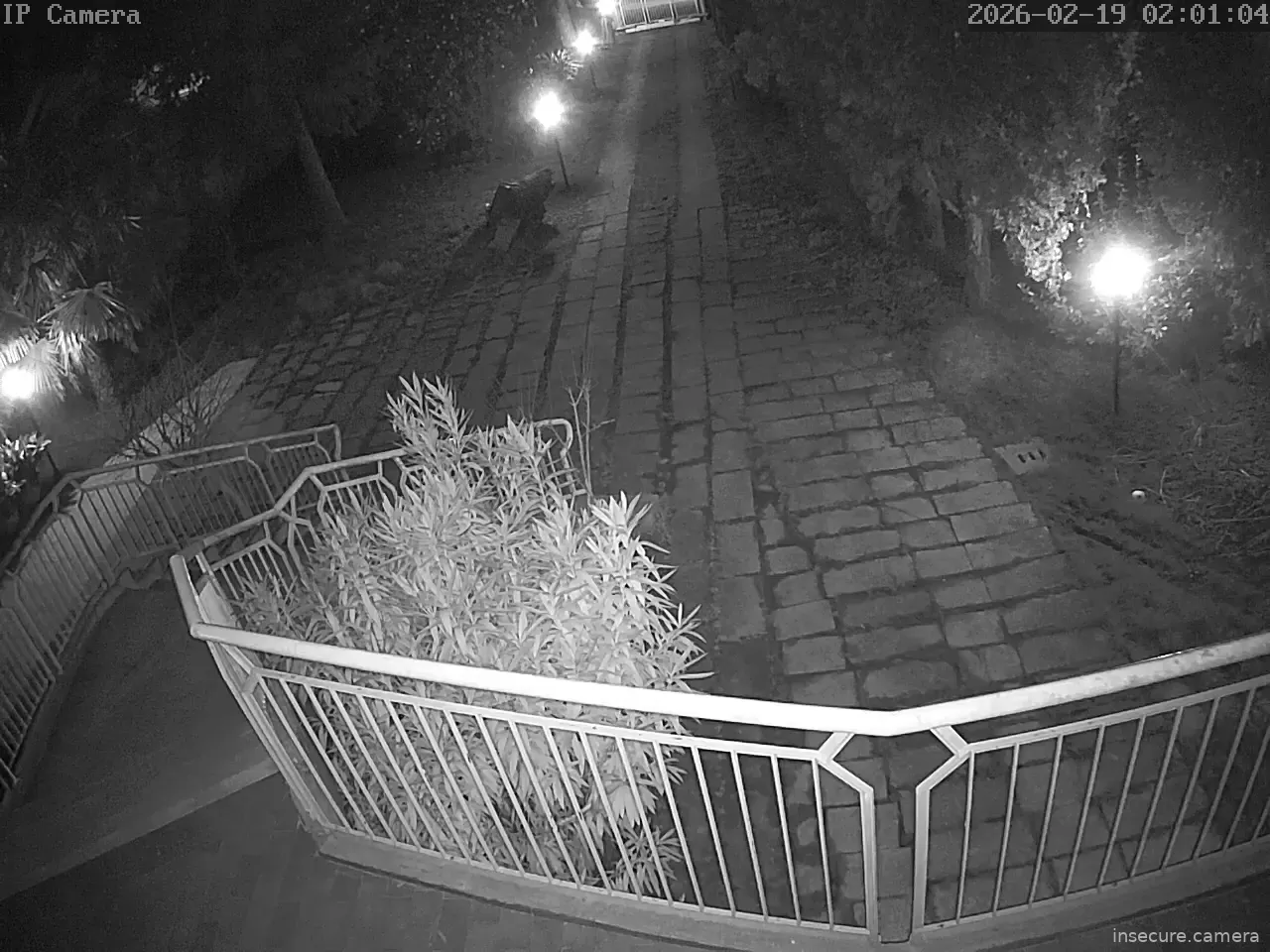 Capture from Feb 19, 2026 at 01:01 AM