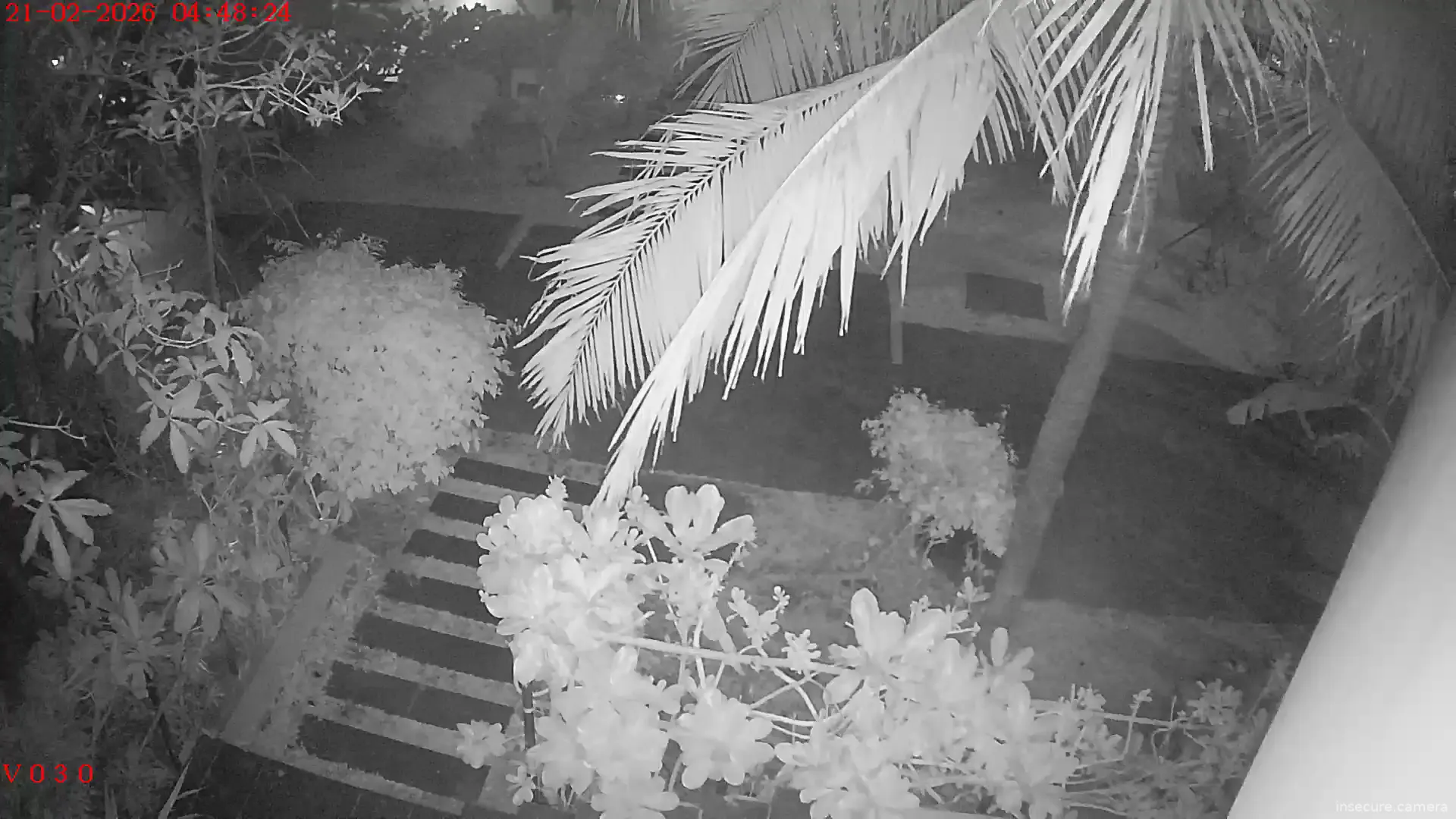 Capture from Feb 20, 2026 at 09:48 PM