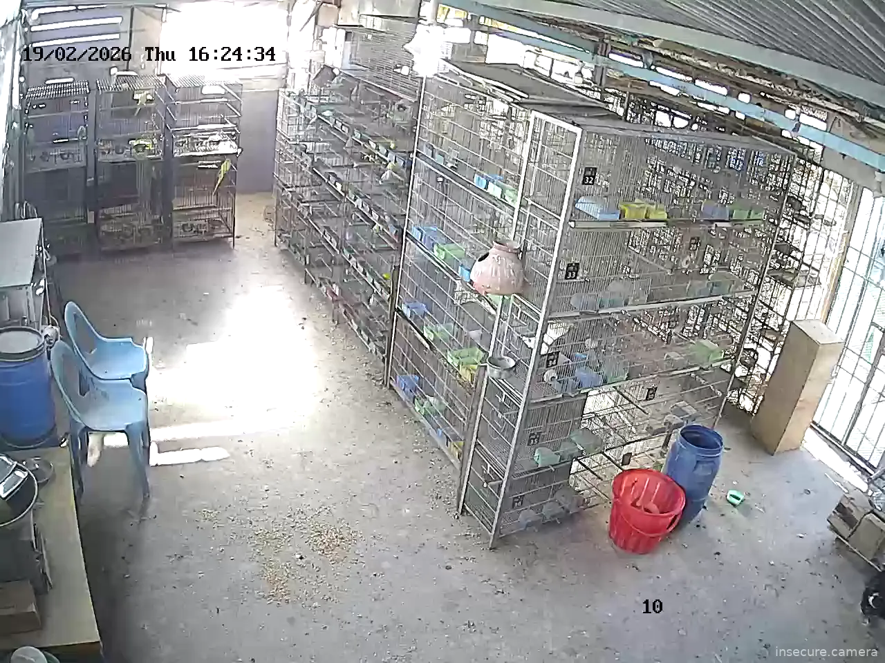 Capture from Feb 19, 2026 at 11:17 AM