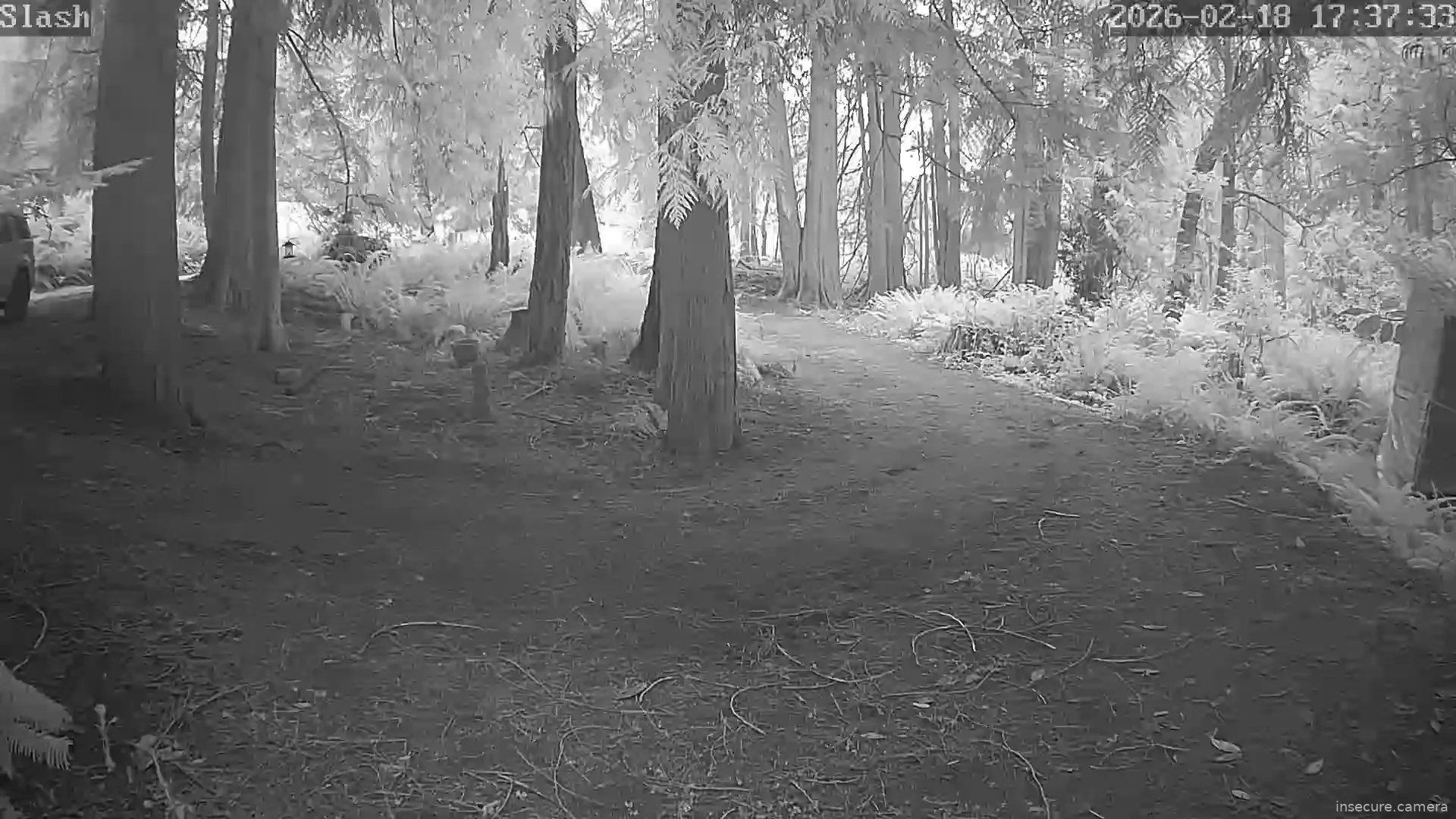 Capture from Feb 19, 2026 at 12:38 AM