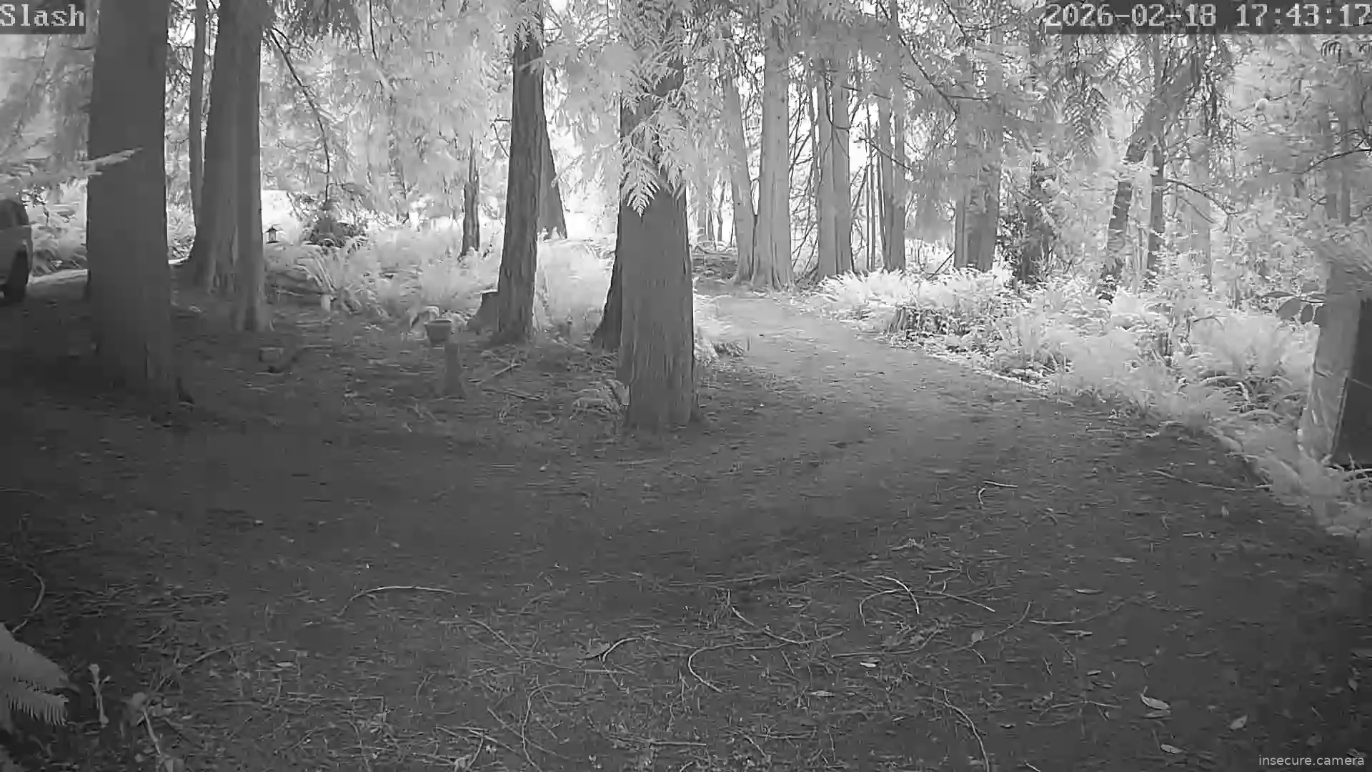 Capture from Feb 19, 2026 at 12:43 AM