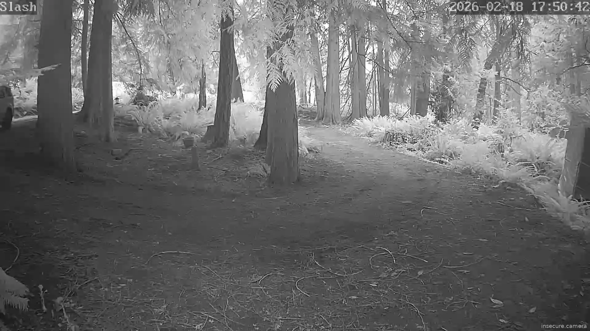 Capture from Feb 19, 2026 at 12:51 AM