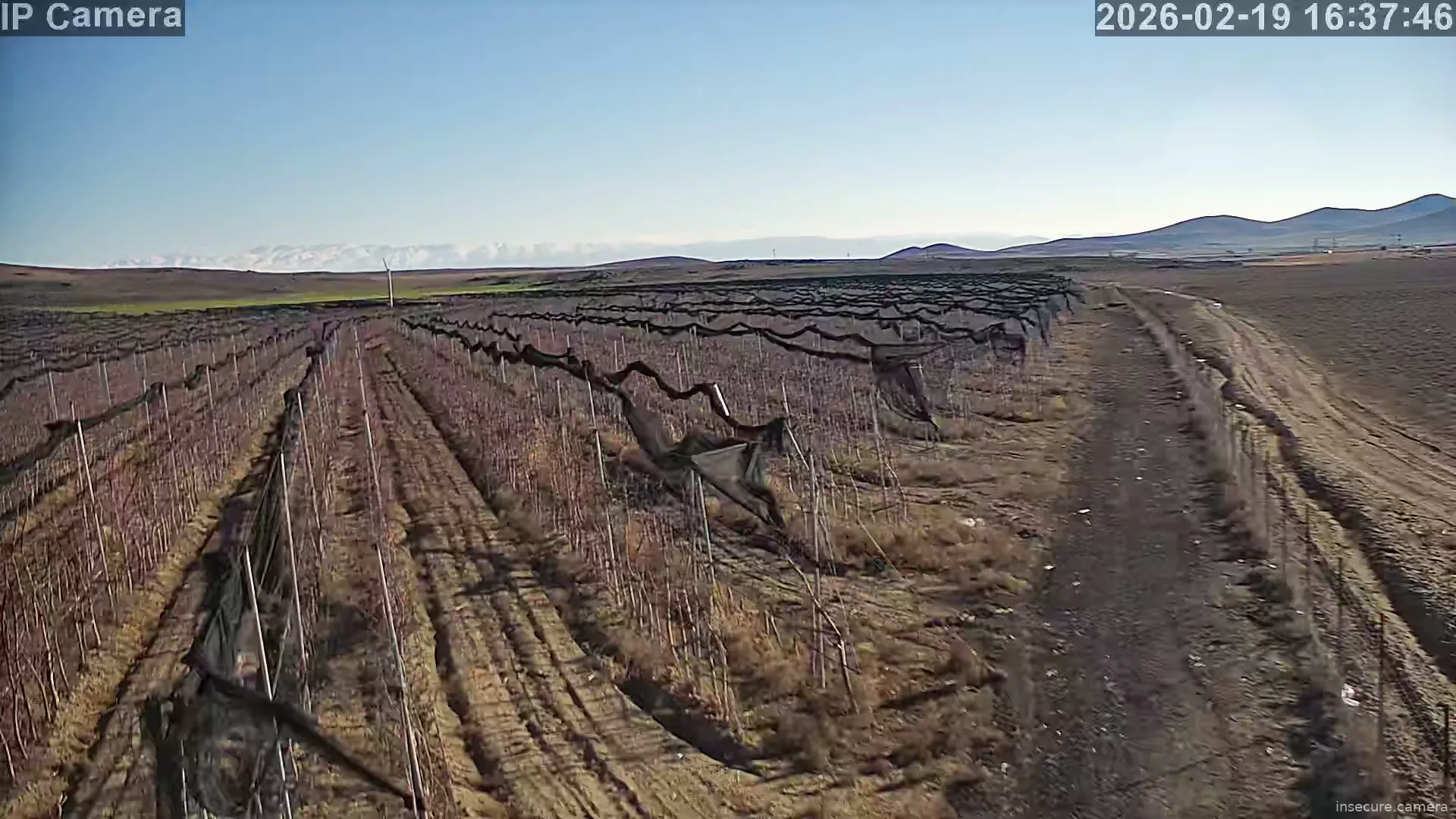 Capture from Feb 19, 2026 at 01:38 PM