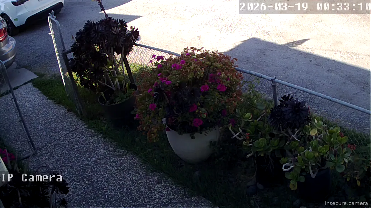 Camera in United States