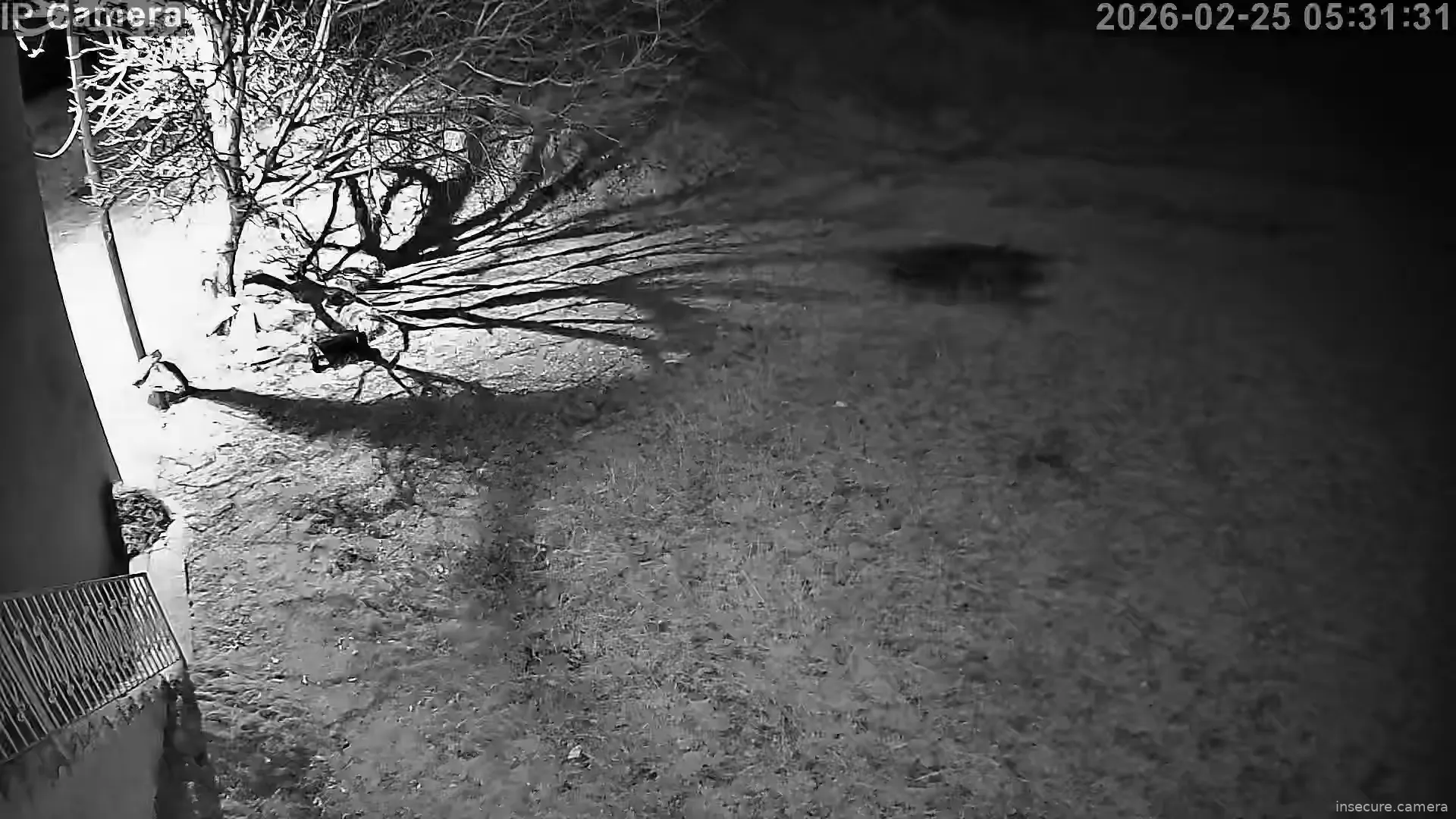 Capture from Feb 25, 2026 at 02:31 AM