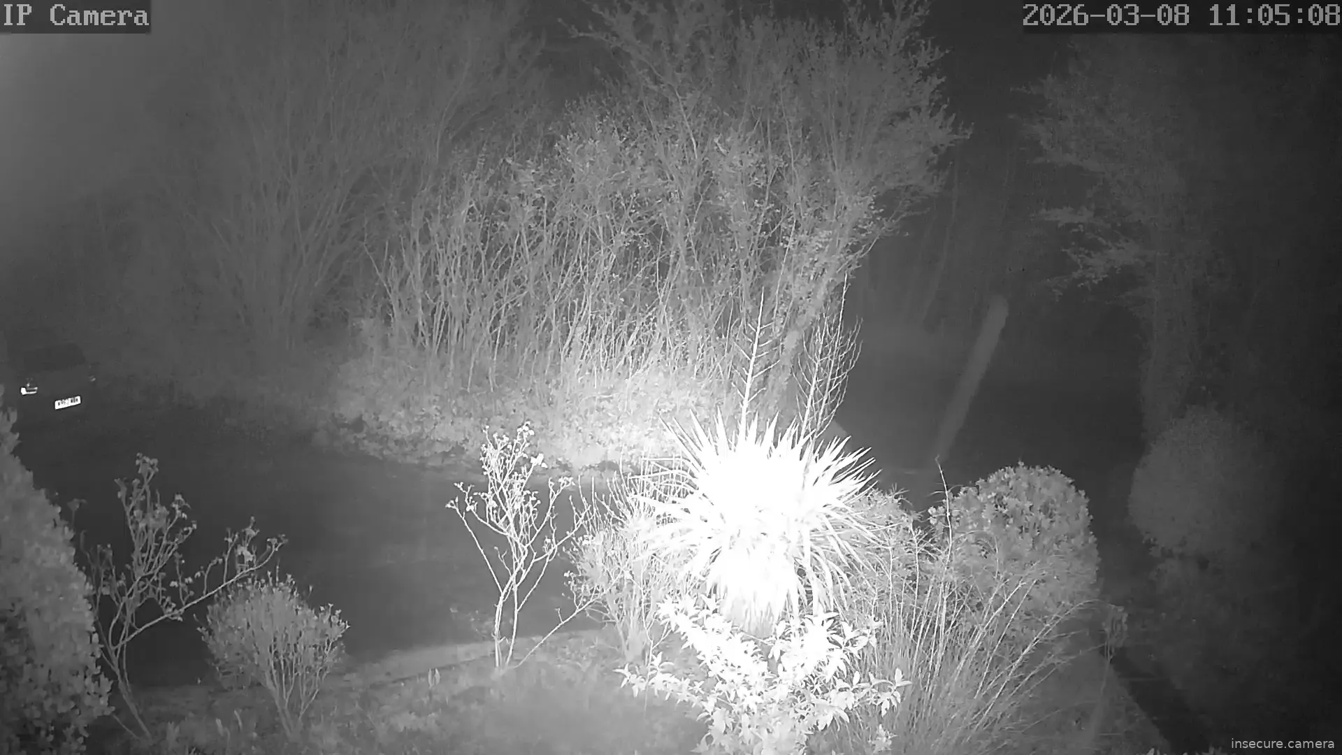 Capture from Mar 08, 2026 at 03:05 AM