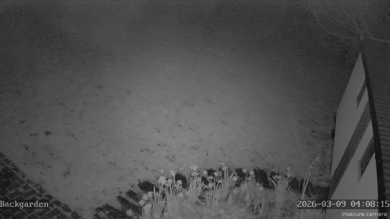 Capture from Mar 09, 2026 at 04:08 AM