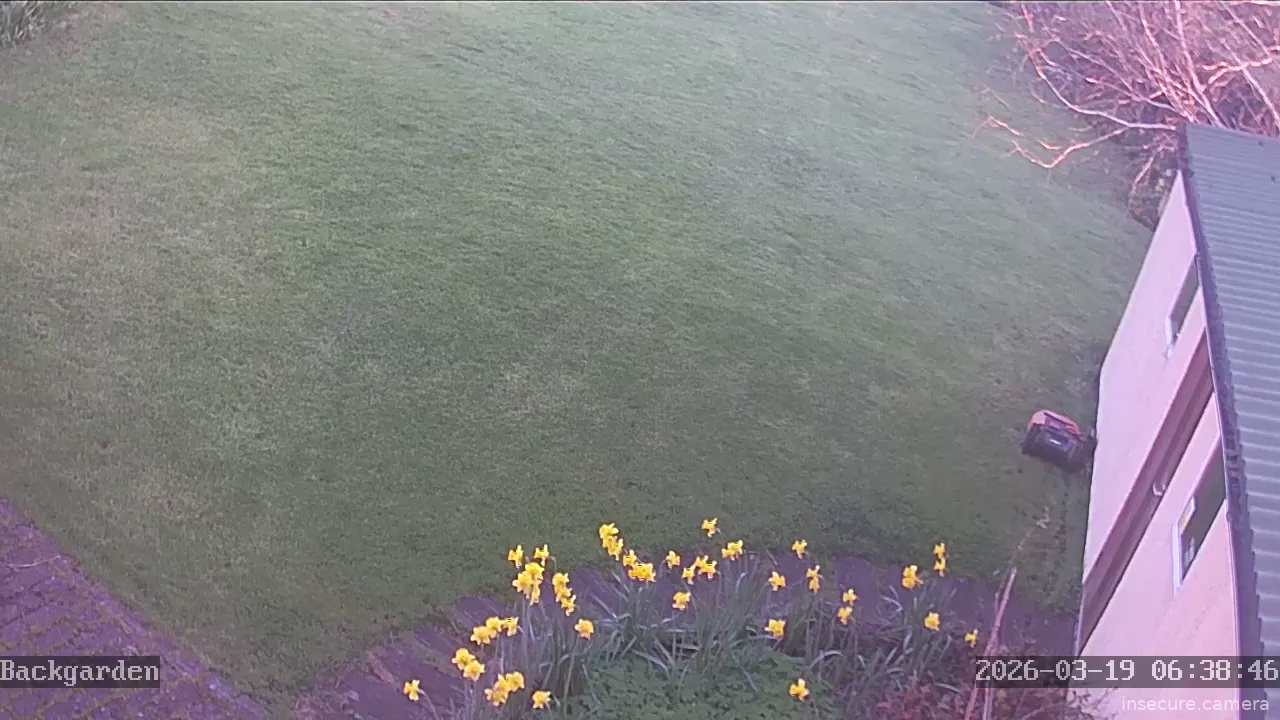 Camera in United Kingdom