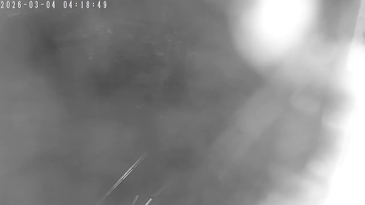 Capture from Mar 03, 2026 at 08:34 PM