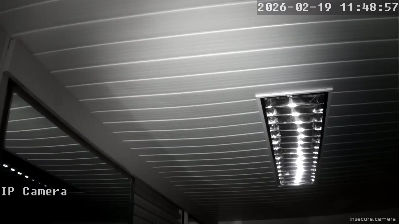 Capture from Feb 19, 2026 at 03:49 AM