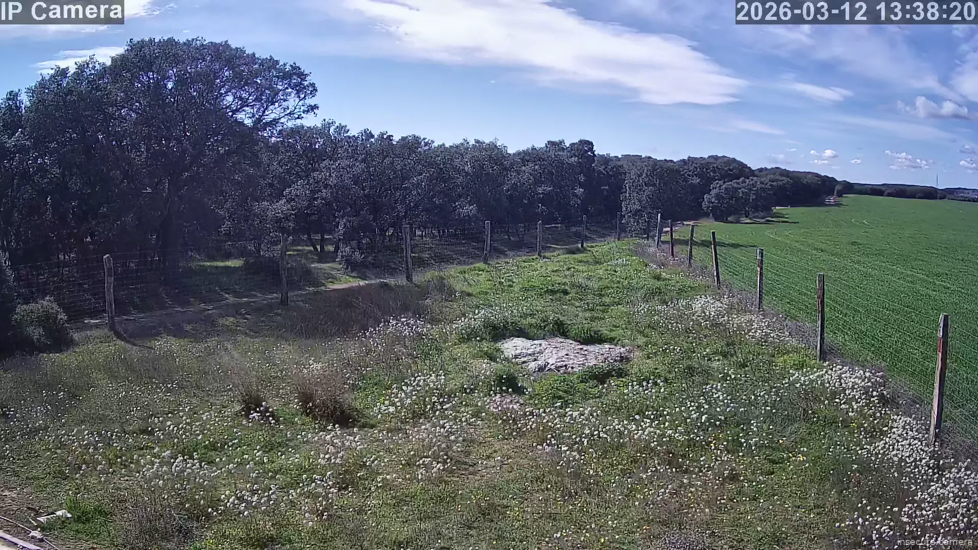 Capture from Mar 12, 2026 at 12:38 PM