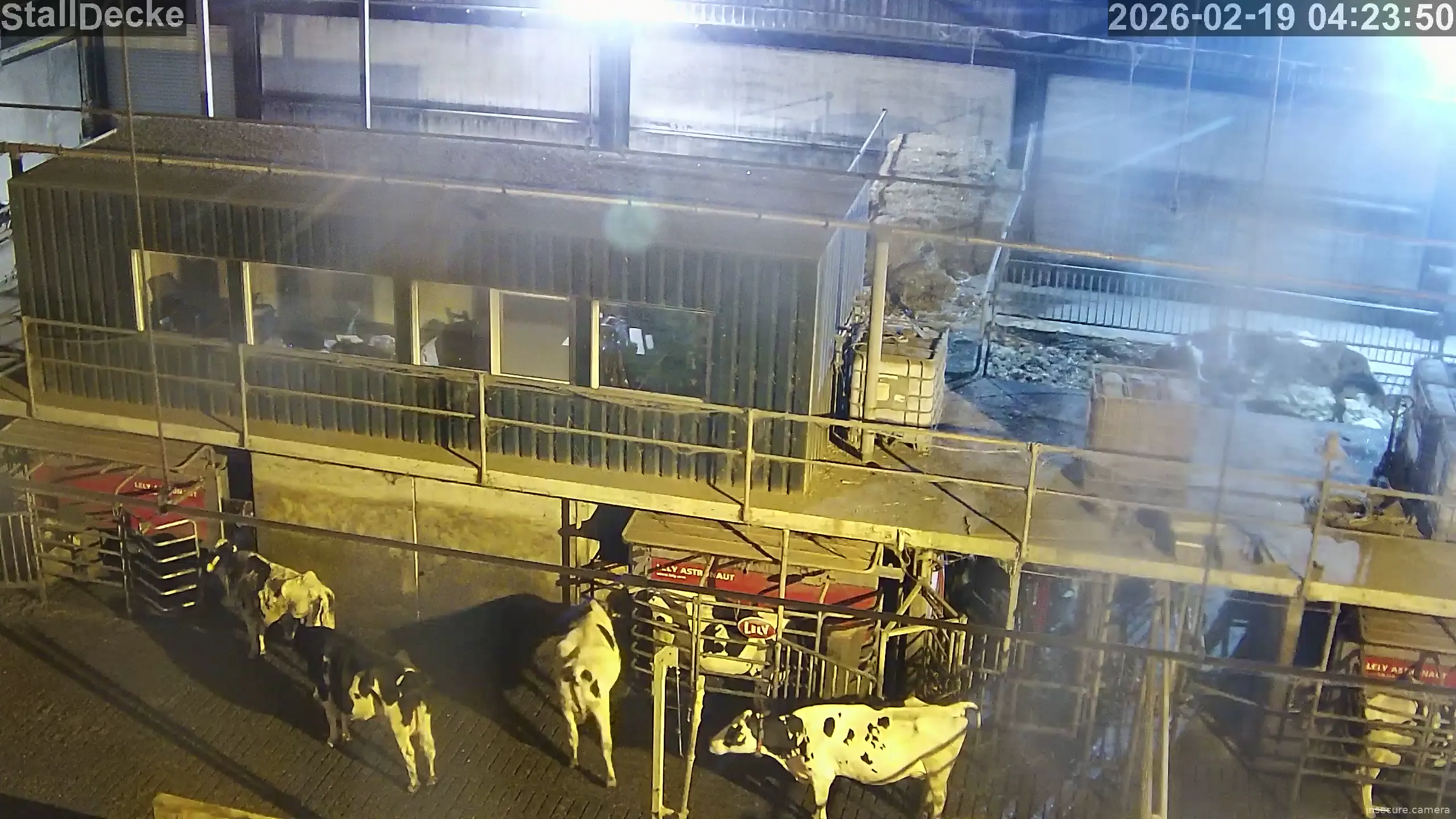 Capture from Feb 19, 2026 at 03:24 AM