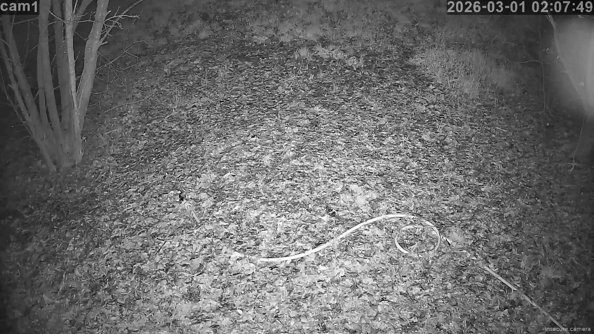 Capture from Mar 01, 2026 at 01:08 AM