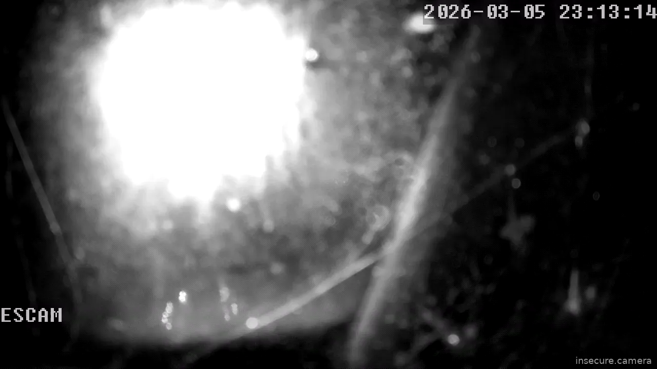 Capture from Mar 05, 2026 at 09:13 PM