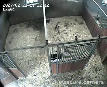 Capture from Feb 24, 2026 at 11:25 AM