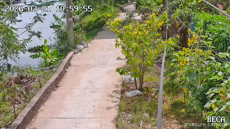 Capture from Feb 21, 2026 at 04:00 AM