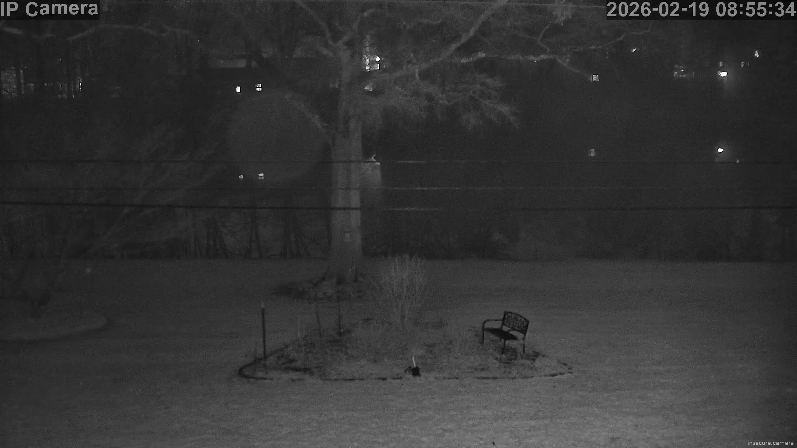 Capture from Feb 19, 2026 at 12:56 AM