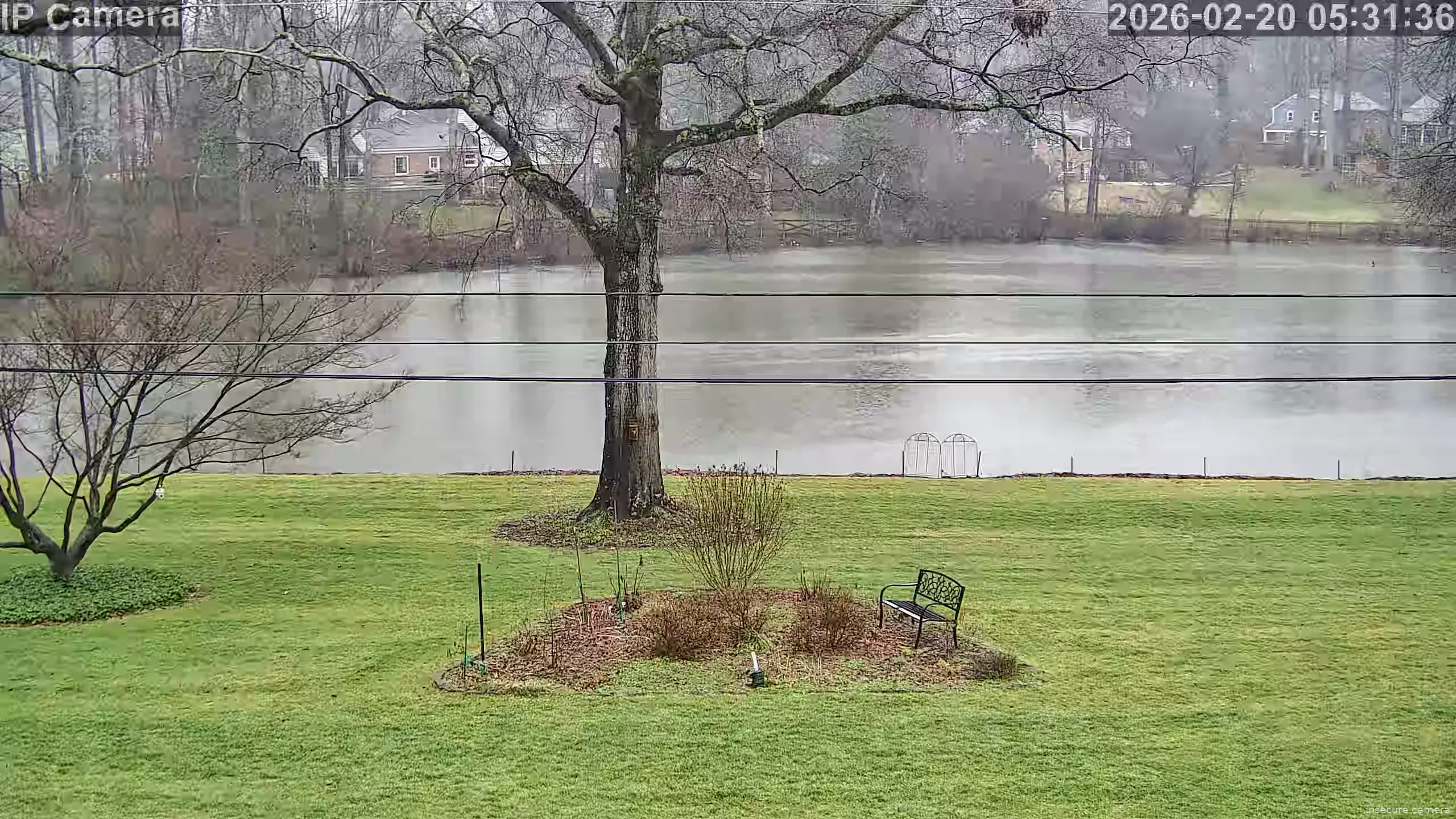 Capture from Feb 19, 2026 at 09:31 PM