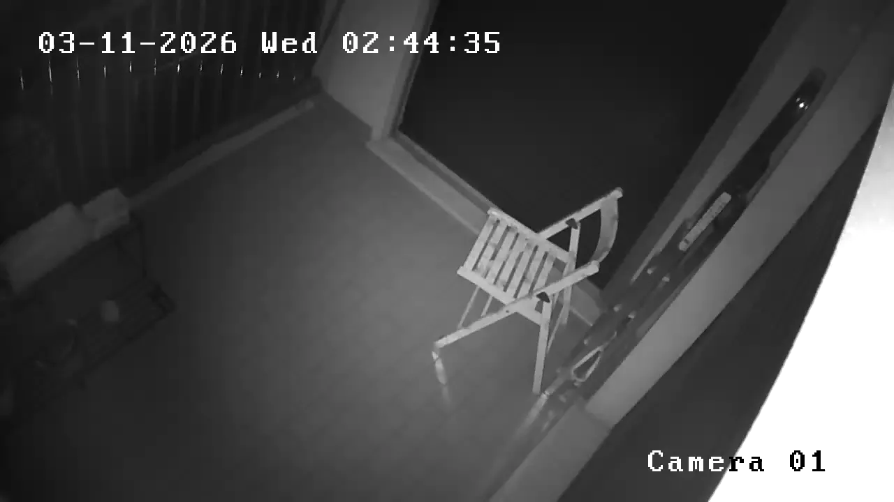 Capture from Mar 11, 2026 at 01:44 AM