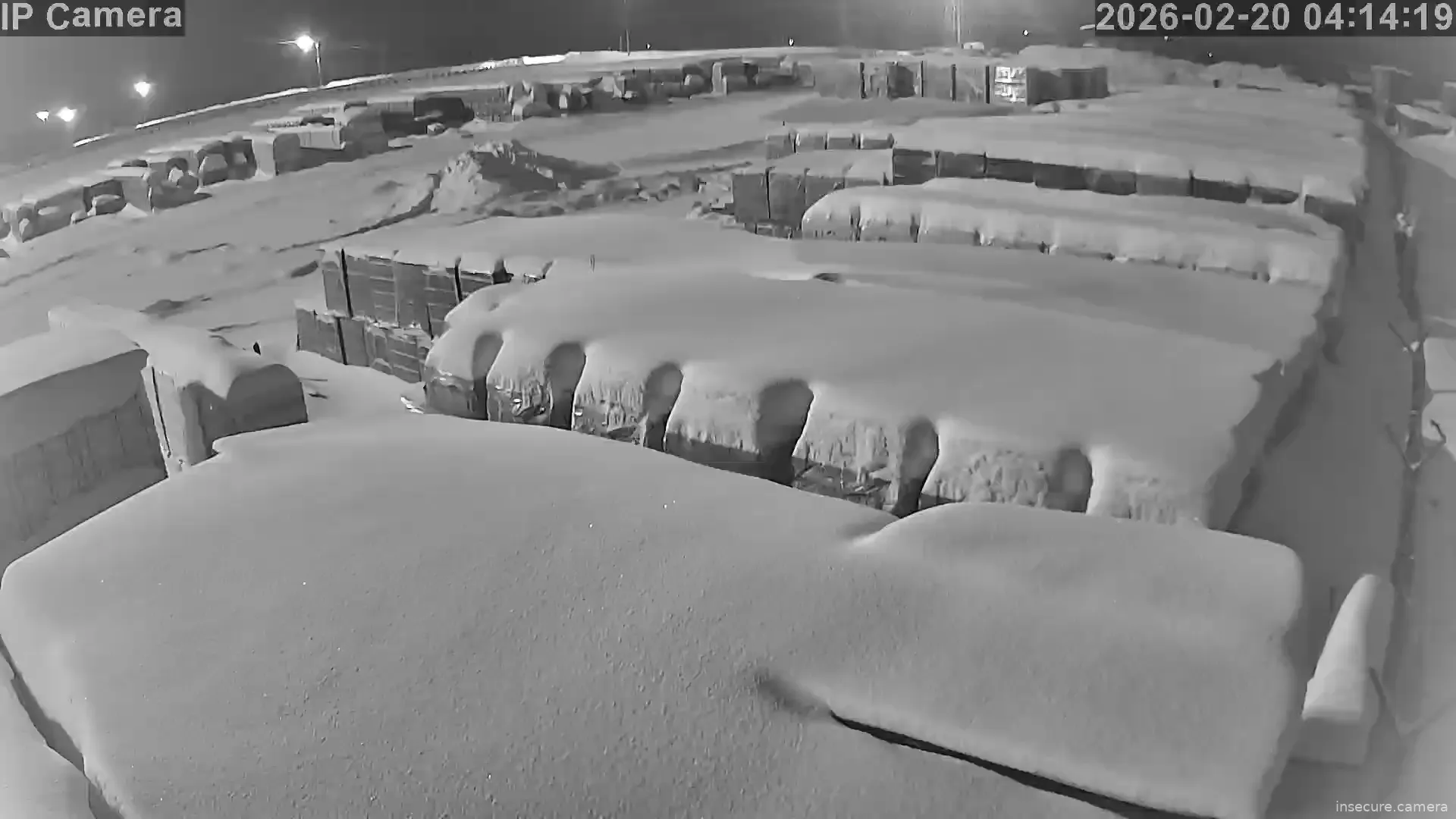 Capture from Feb 19, 2026 at 08:15 PM