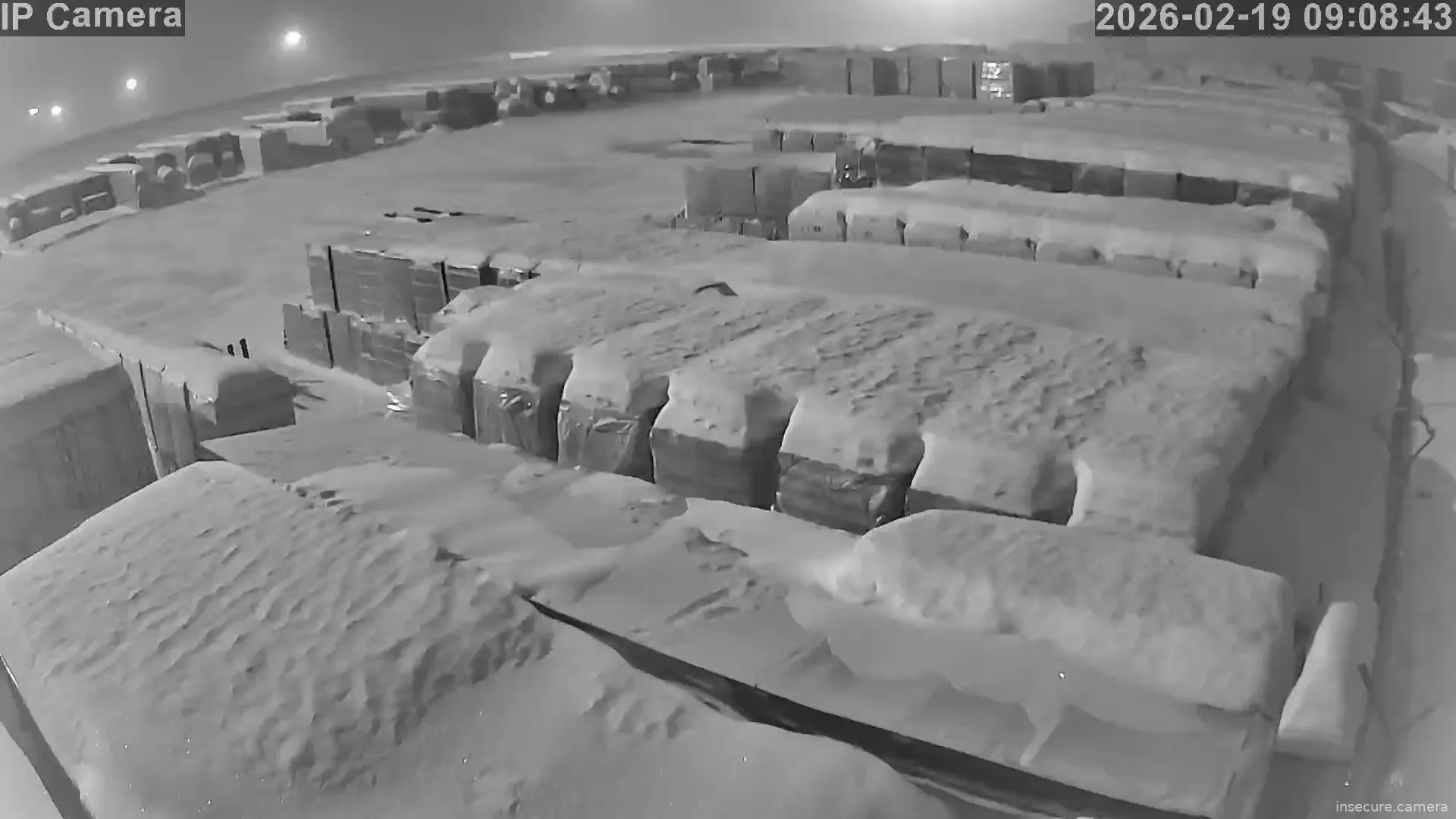 Capture from Feb 19, 2026 at 01:09 AM