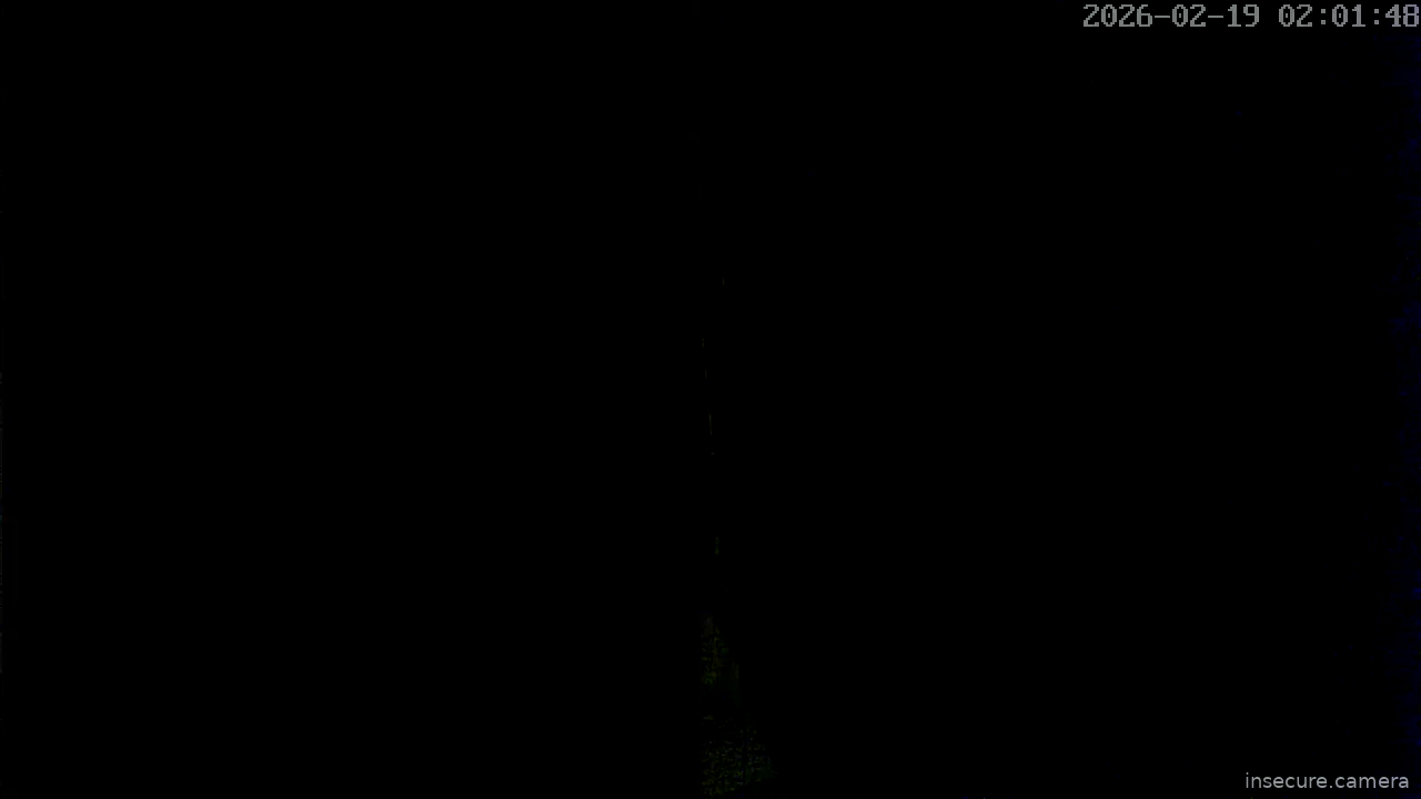 Capture from Feb 19, 2026 at 12:02 AM