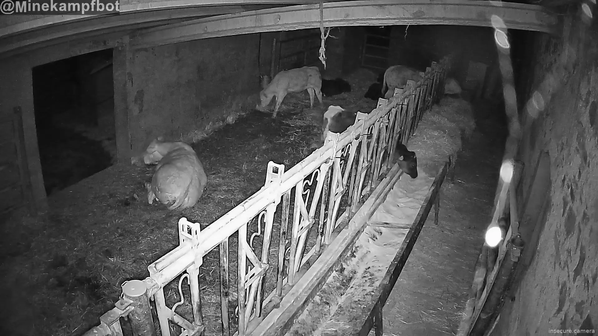 Capture from Mar 18, 2026 at 01:53 AM