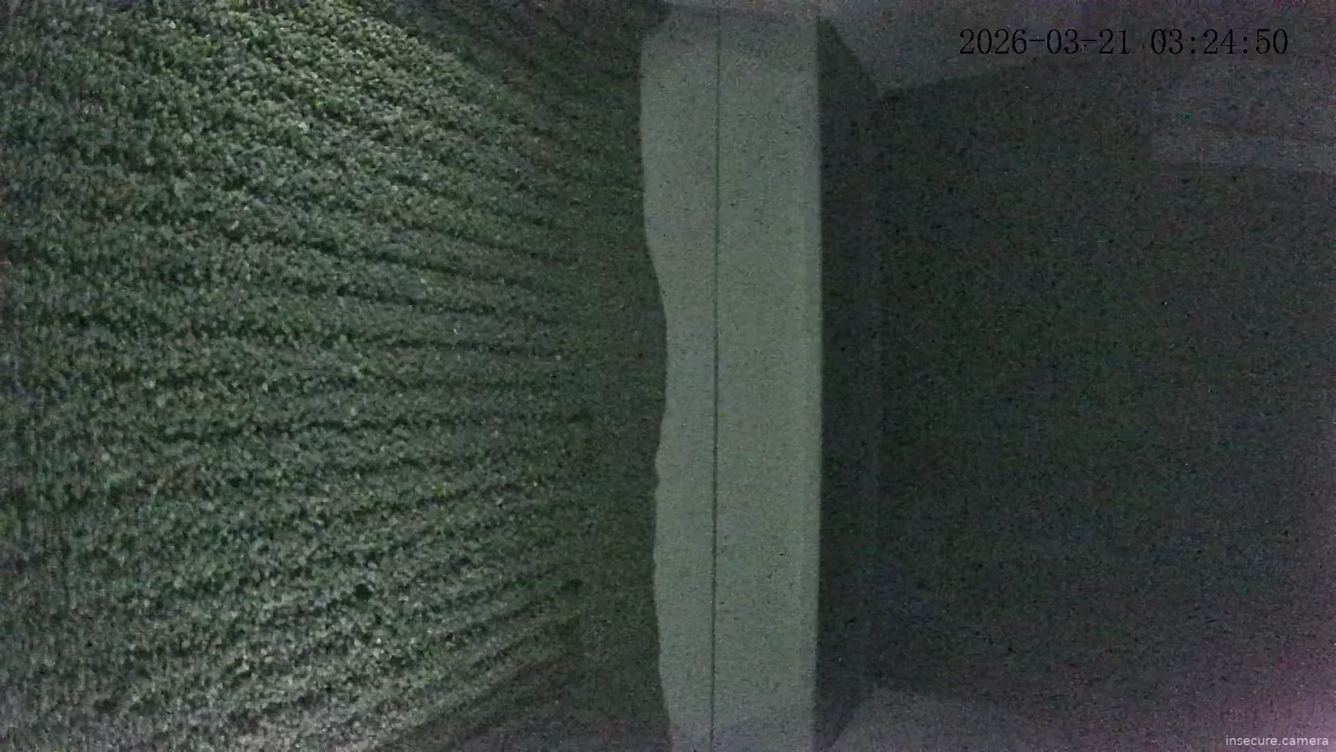 Camera in South Korea