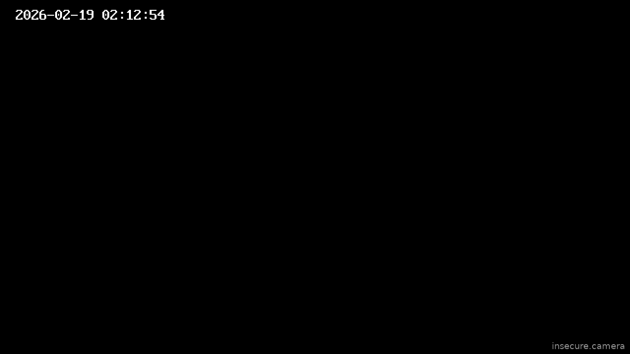 Capture from Feb 19, 2026 at 01:13 AM
