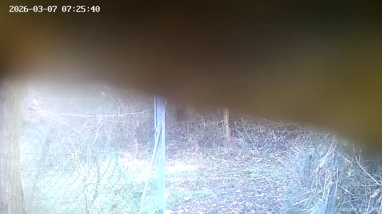 Capture from Mar 07, 2026 at 06:25 AM