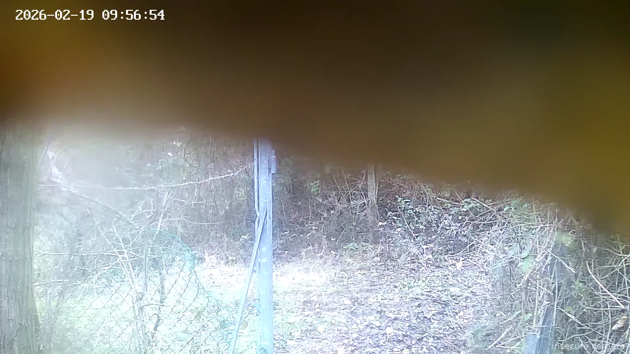 Capture from Feb 19, 2026 at 08:57 AM