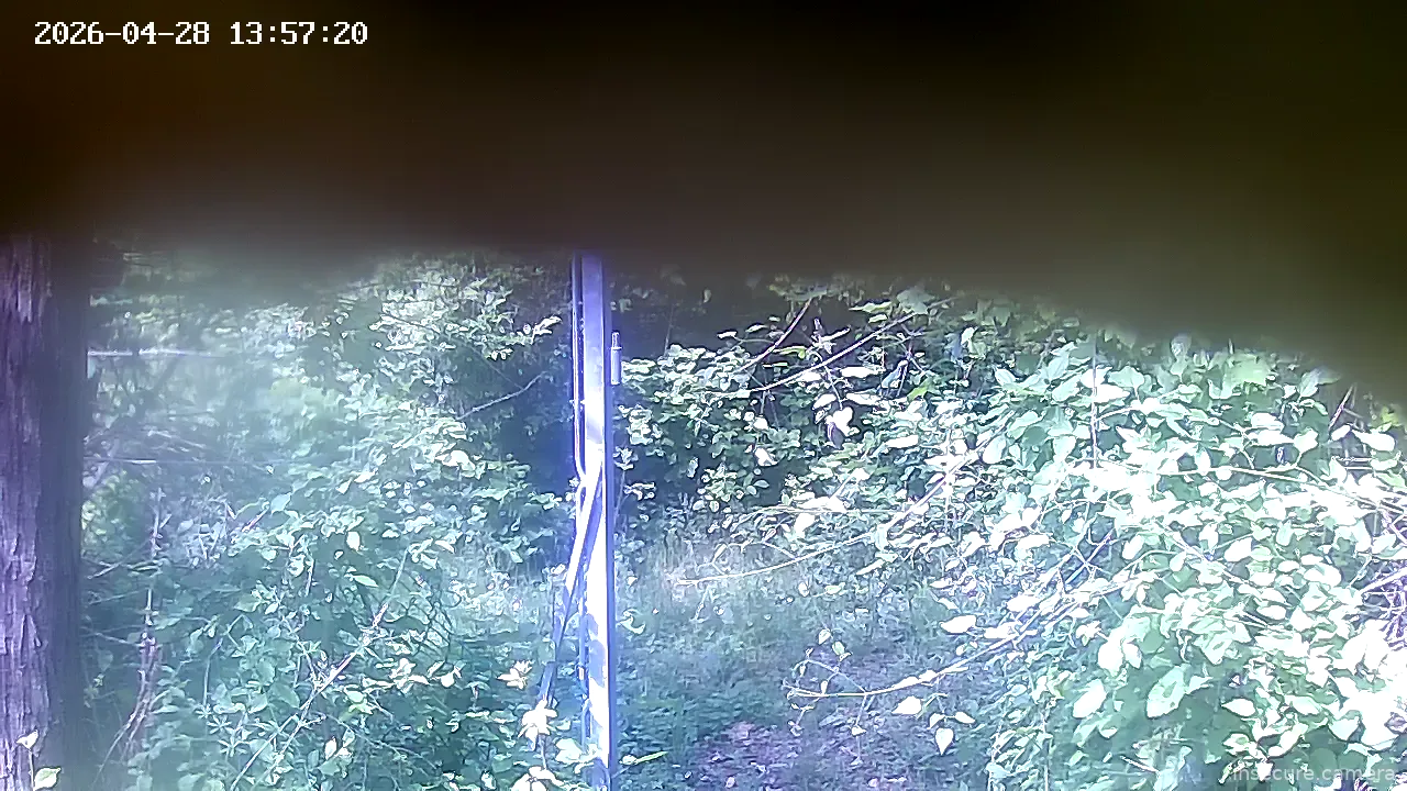 Capture from Apr 28, 2026 at 12:57 PM
