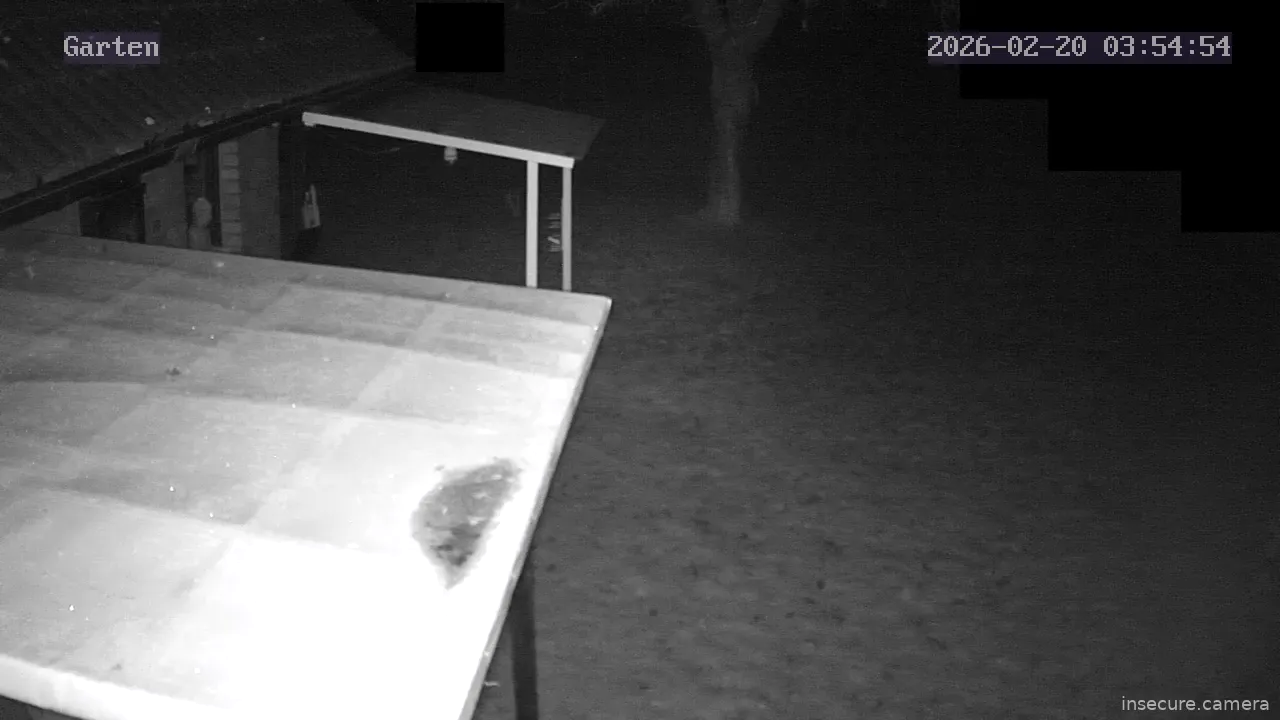 Capture from Feb 20, 2026 at 02:55 AM