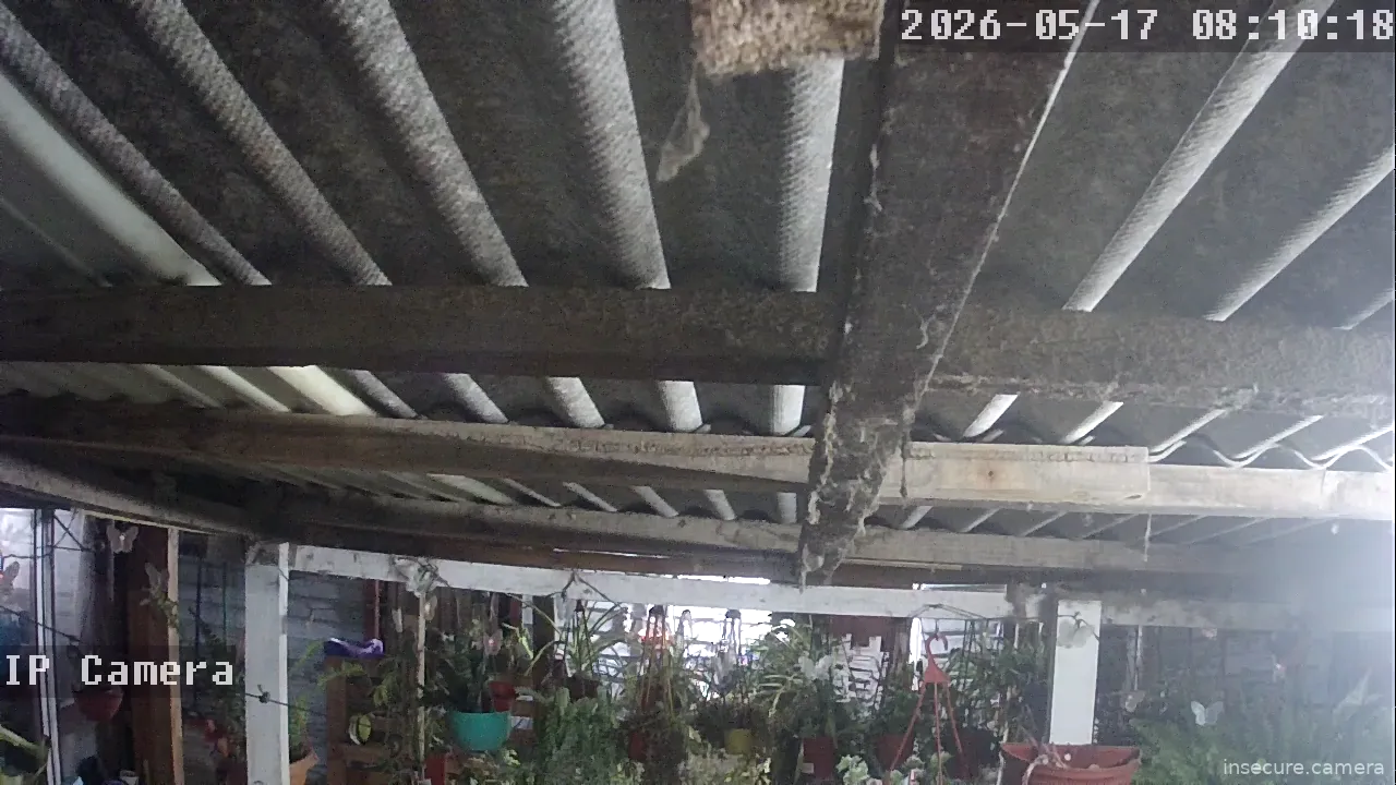 Capture from May 17, 2026 at 12:10 AM