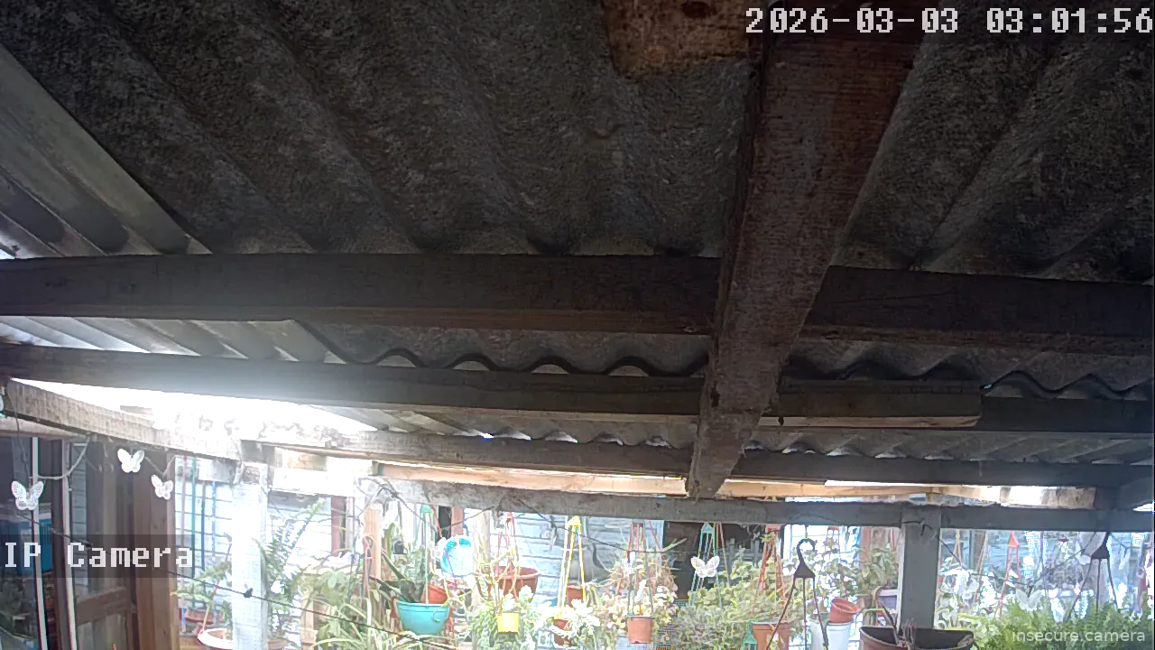 Capture from Mar 02, 2026 at 07:02 PM