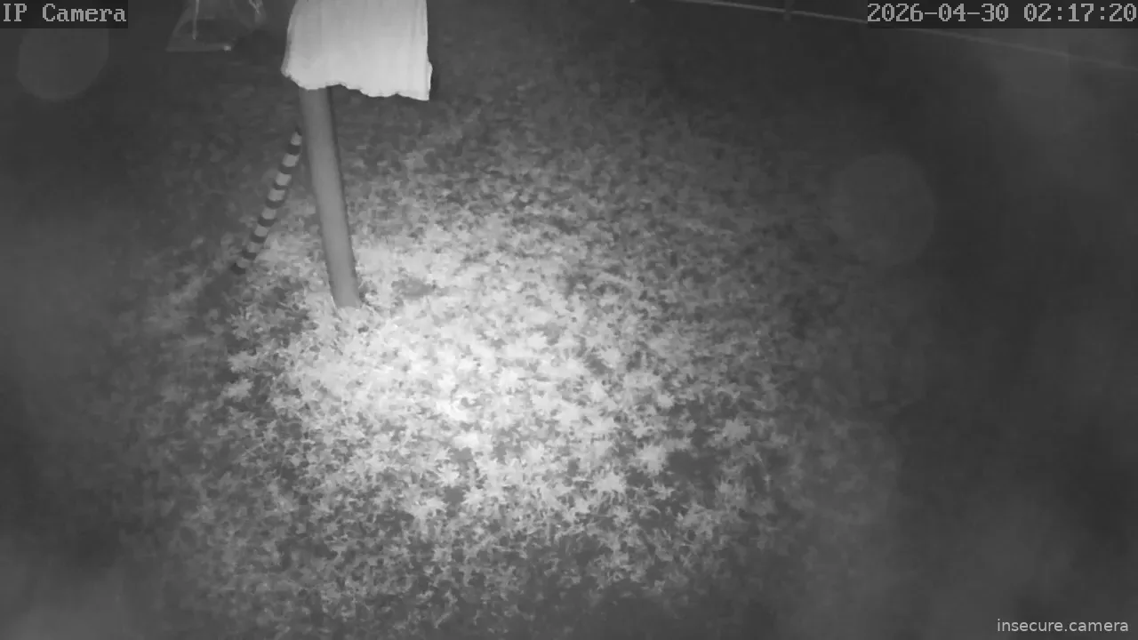 Capture from Apr 29, 2026 at 11:17 PM