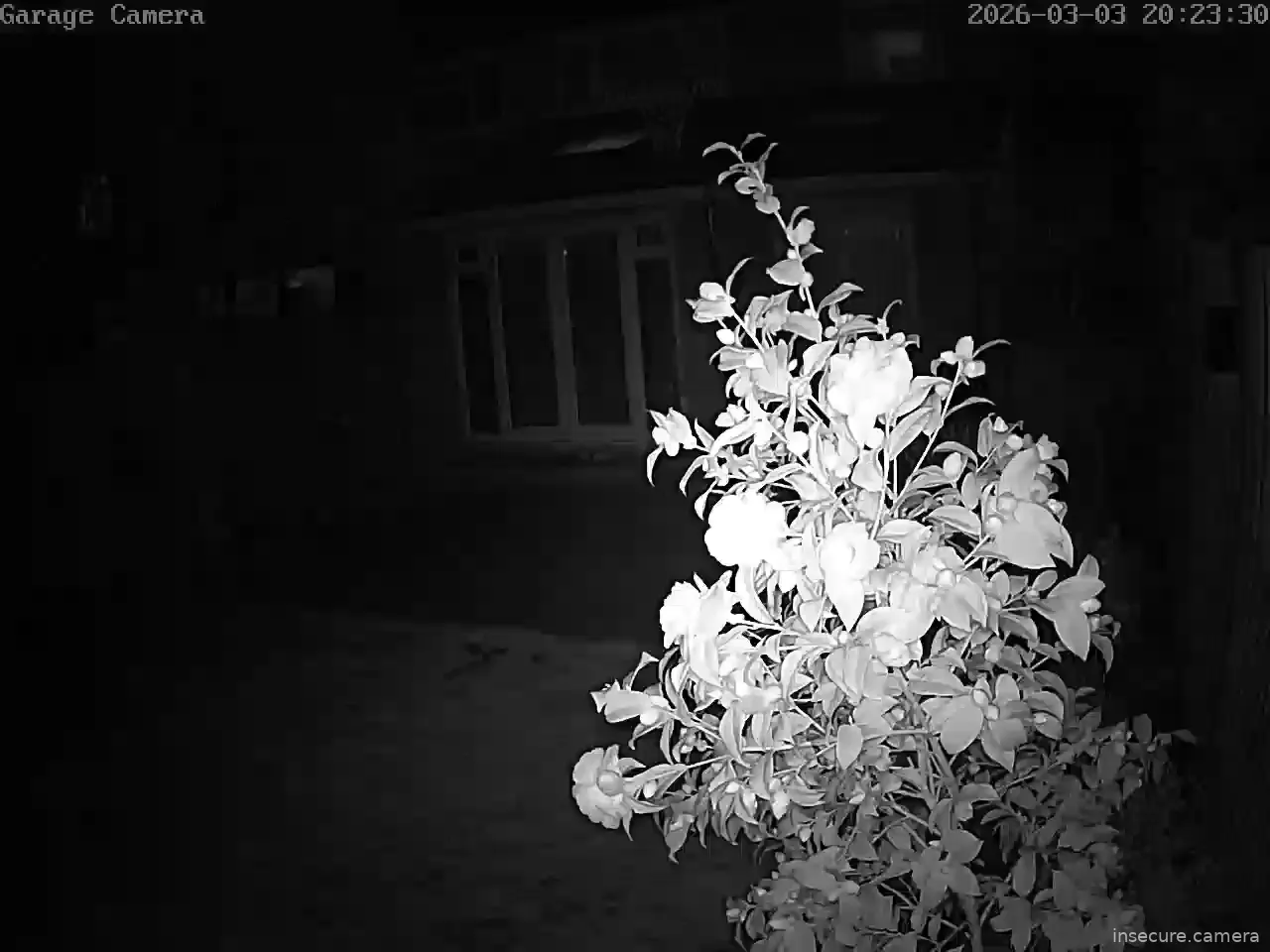 Capture from Mar 03, 2026 at 08:20 PM