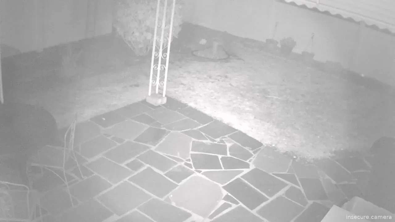 Capture from Mar 10, 2026 at 01:19 AM