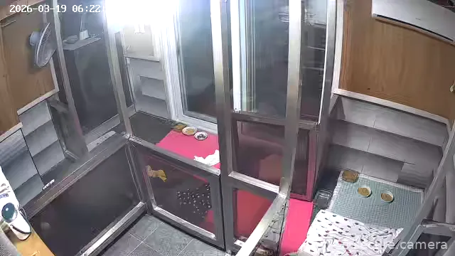 Camera in South Korea