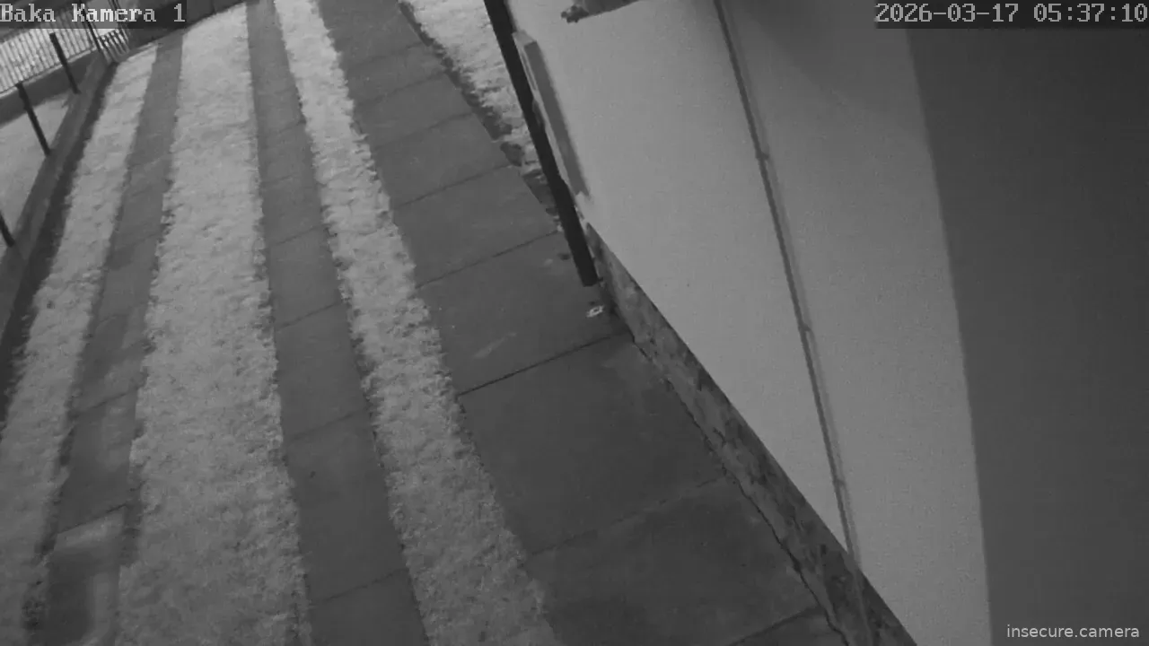 Capture from Mar 17, 2026 at 04:37 AM