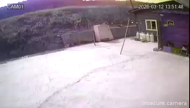 Camera in South Korea