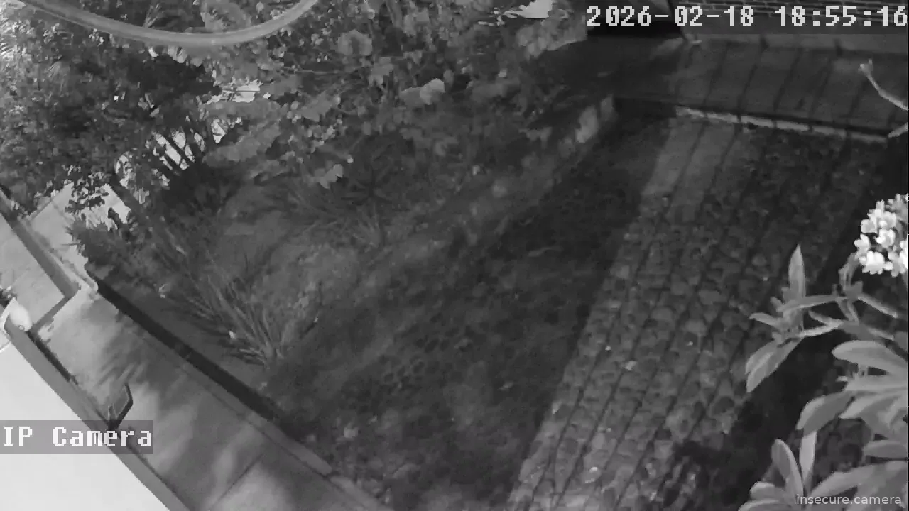 Capture from Feb 19, 2026 at 12:55 AM