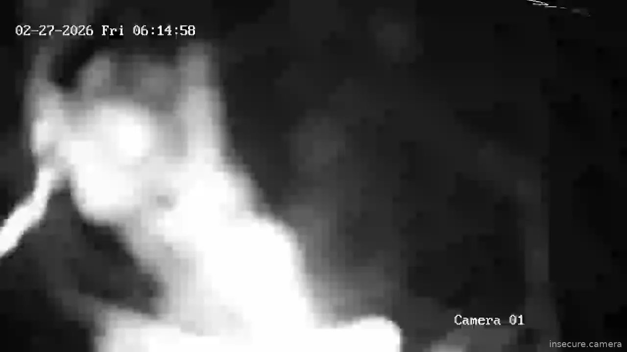 Capture from Feb 27, 2026 at 03:19 AM