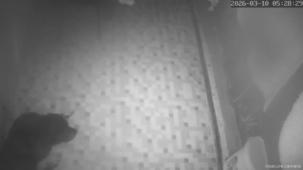 Capture from Mar 10, 2026 at 04:28 AM
