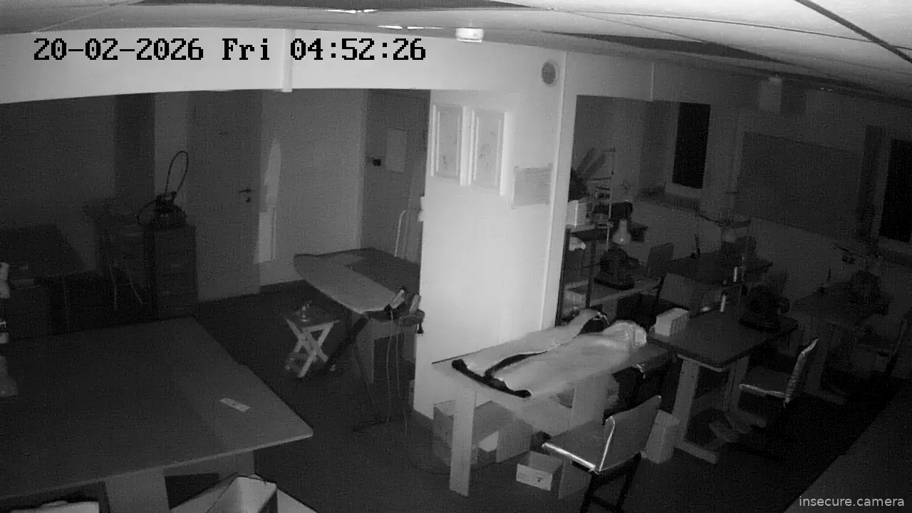 Capture from Feb 20, 2026 at 01:53 AM