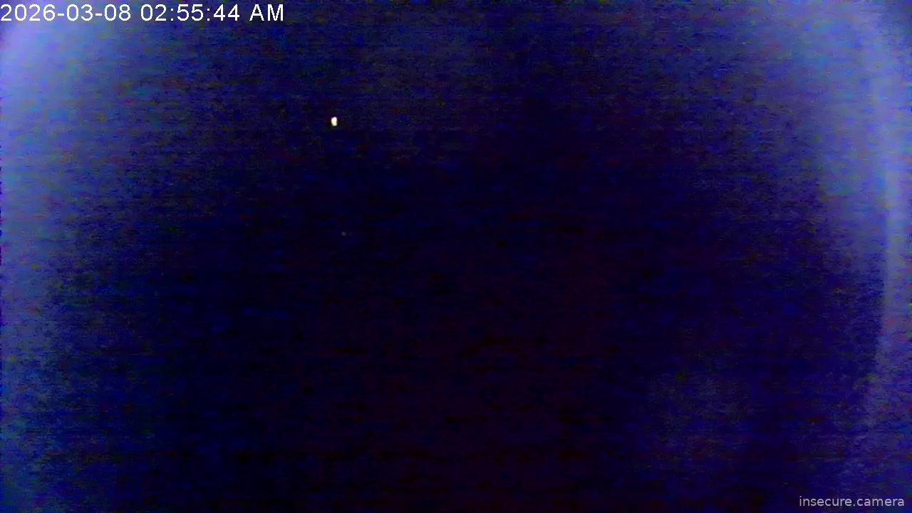 Capture from Mar 08, 2026 at 02:55 AM