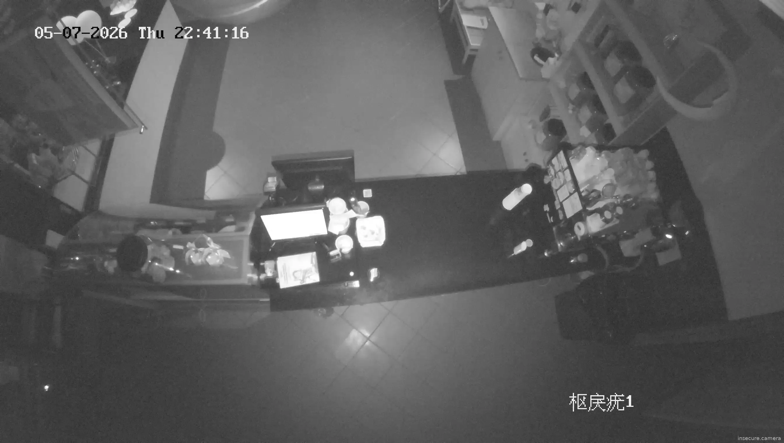 Camera in Russia
