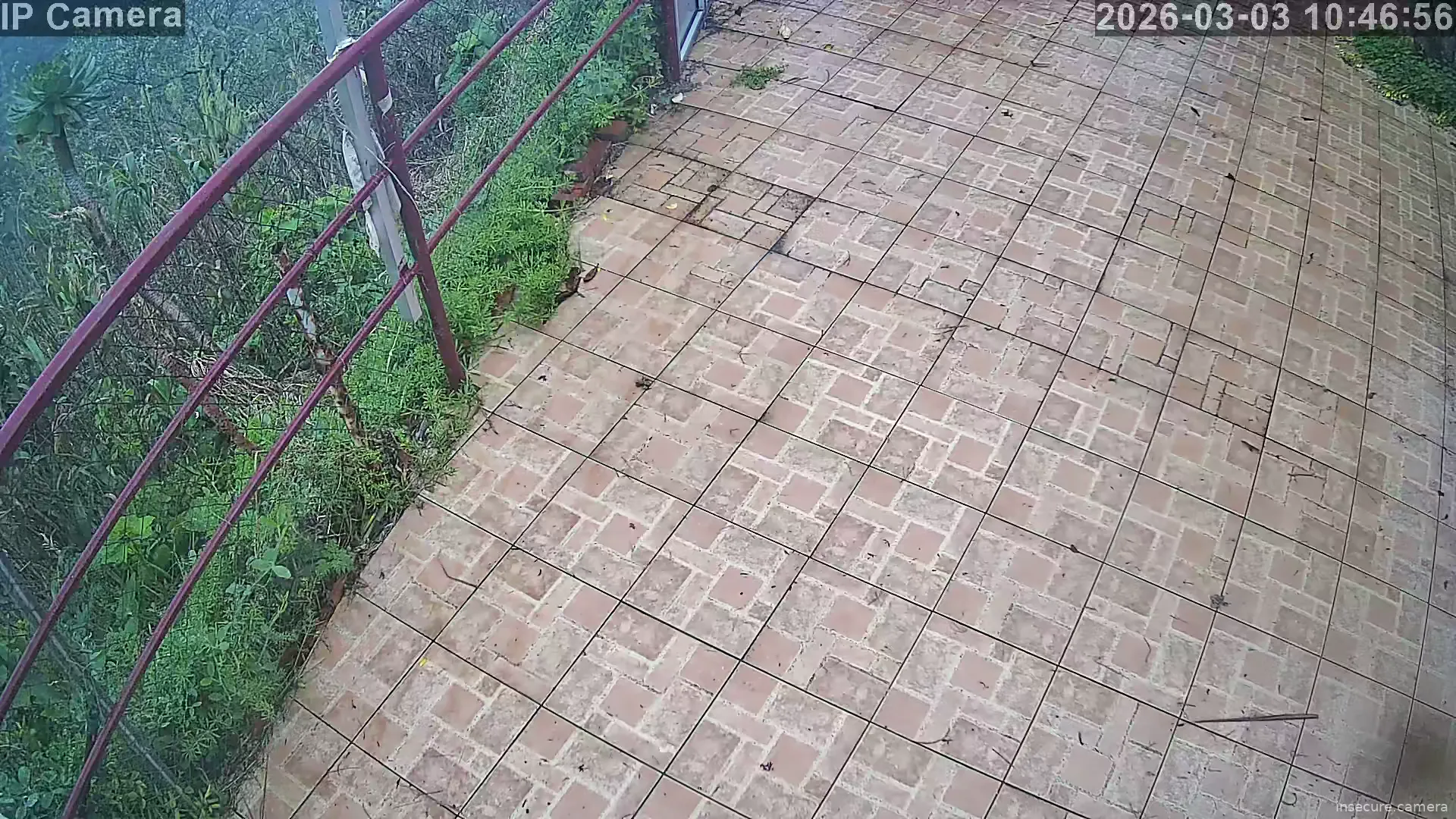 Capture from Mar 03, 2026 at 09:47 AM