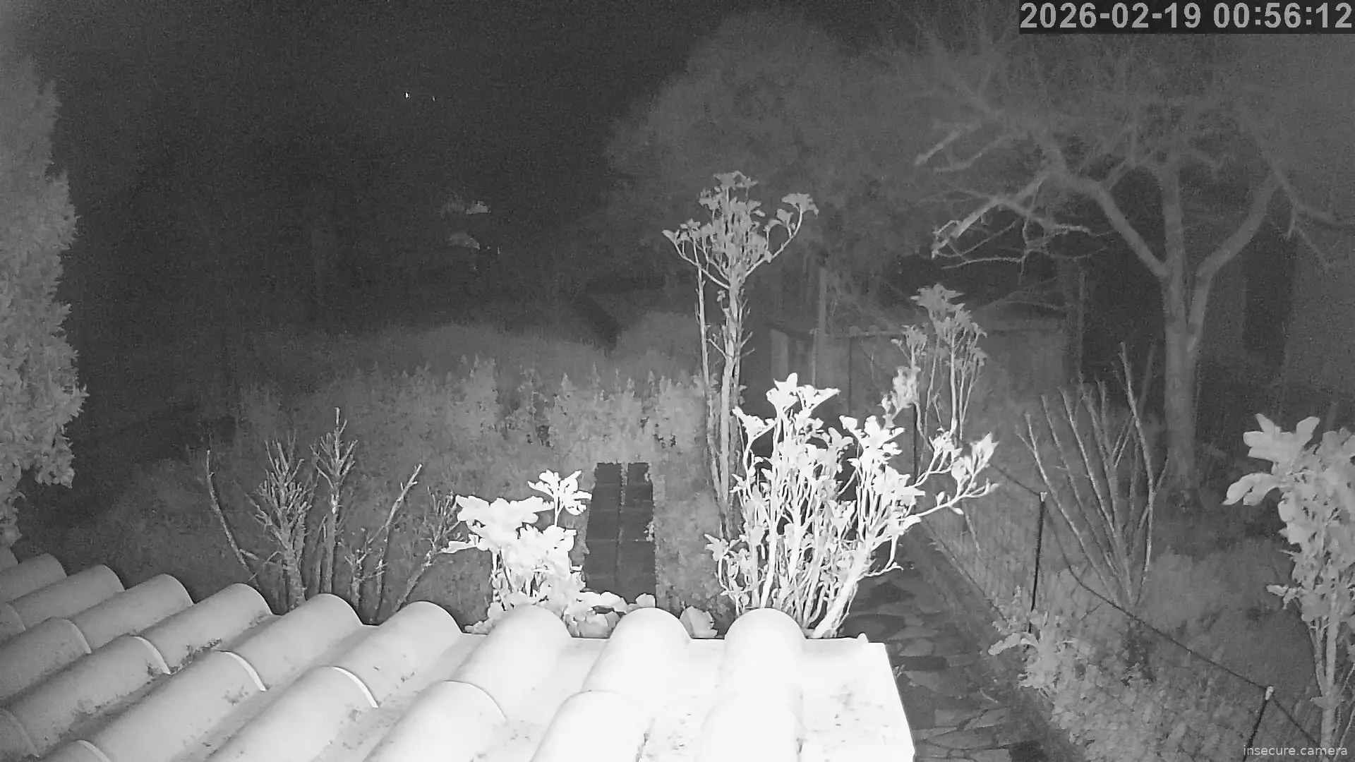 Capture from Feb 19, 2026 at 12:56 AM