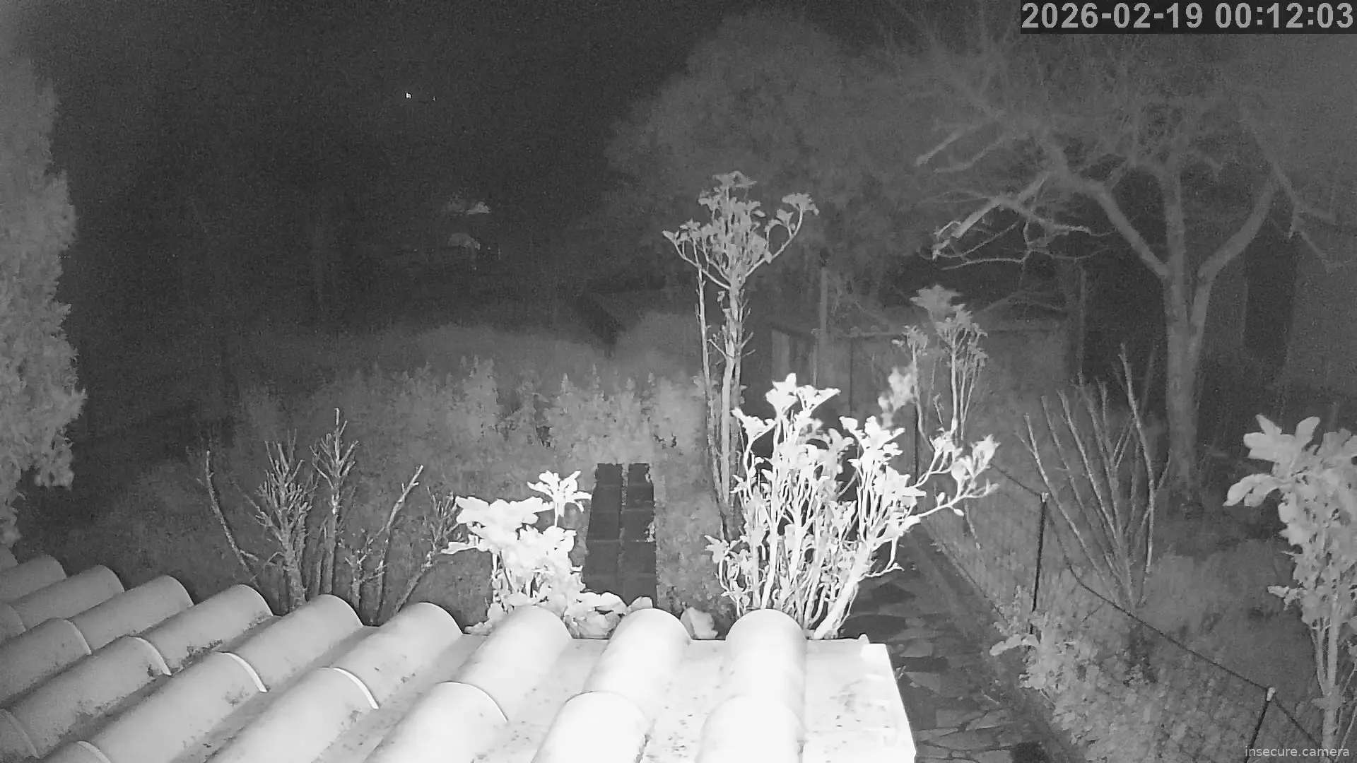 Capture from Feb 19, 2026 at 12:12 AM